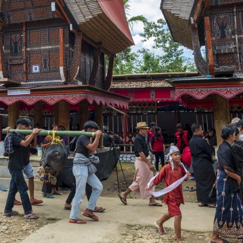 Gold medal – Shared Lives in Toraja Tribe