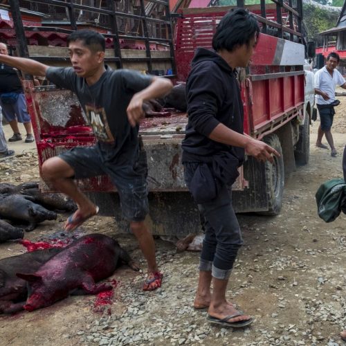 Gold medal – Shared Lives in Toraja Tribe