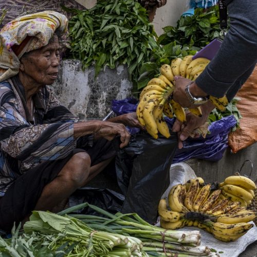 Gold medal – Shared Lives in Toraja Tribe