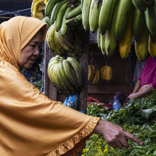 Gold medal – Shared Lives in Toraja Tribe