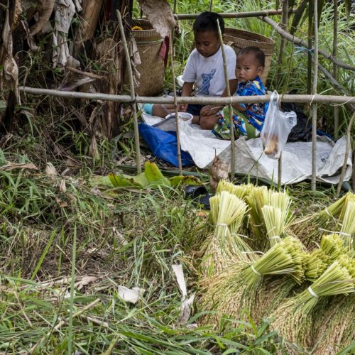 Gold medal – Shared Lives in Toraja Tribe