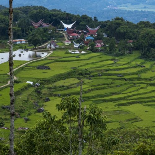 Gold medal – Shared Lives in Toraja Tribe