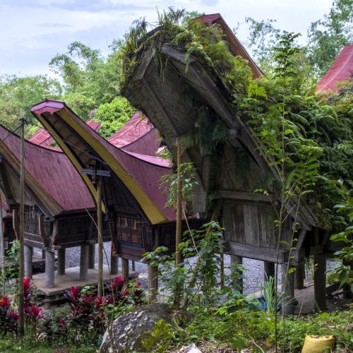 Gold medal – Shared Lives in Toraja Tribe